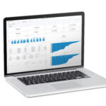 Zebra Symmetry_Lexter